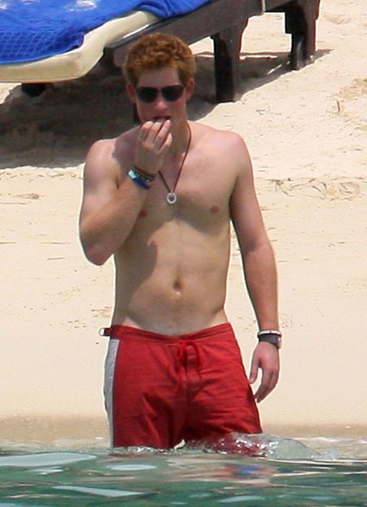 prince harry shirtless pics. Prince Harry and his longterm