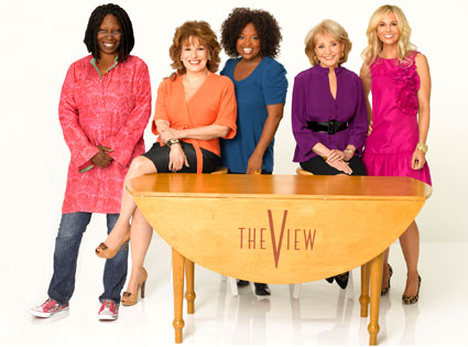 425theview081208