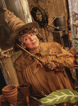 professorsprout