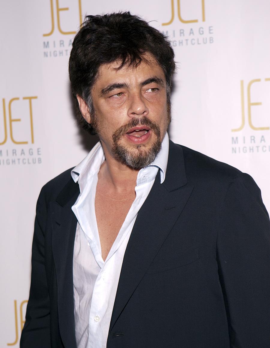 benicio del toro 041009