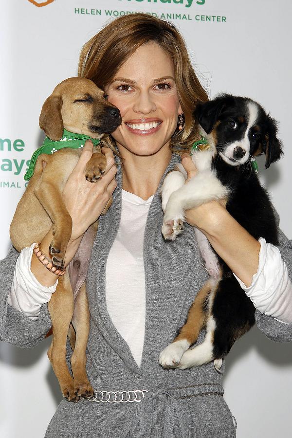 hilary swank iams 2 191009