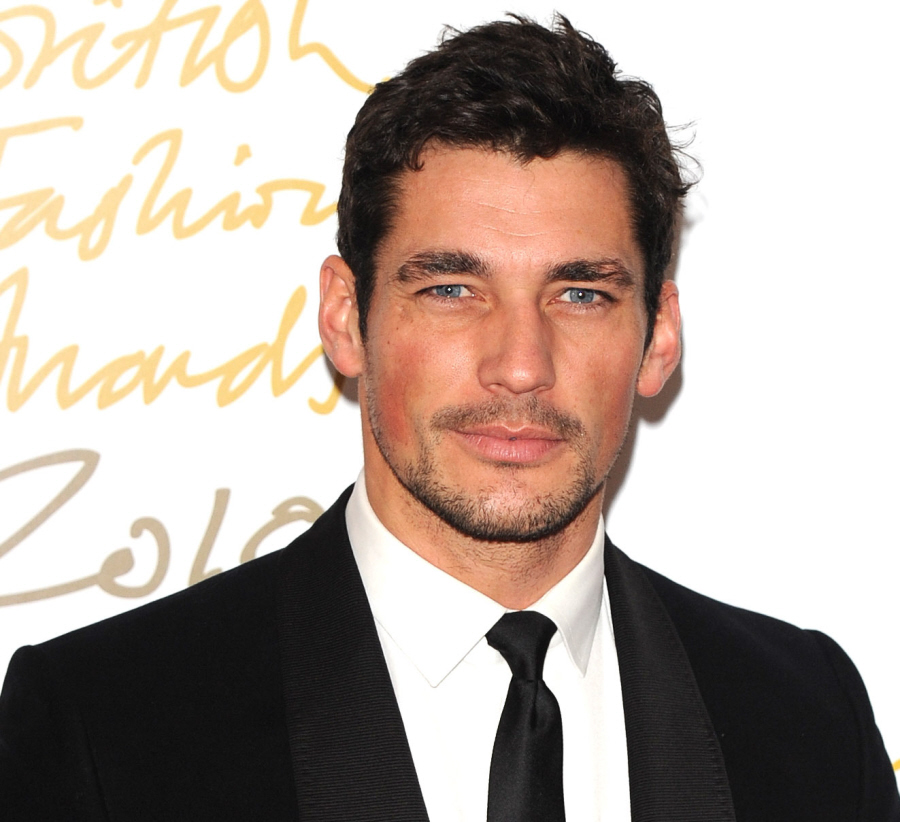 david gandy blog. By the way, you know My Gandy