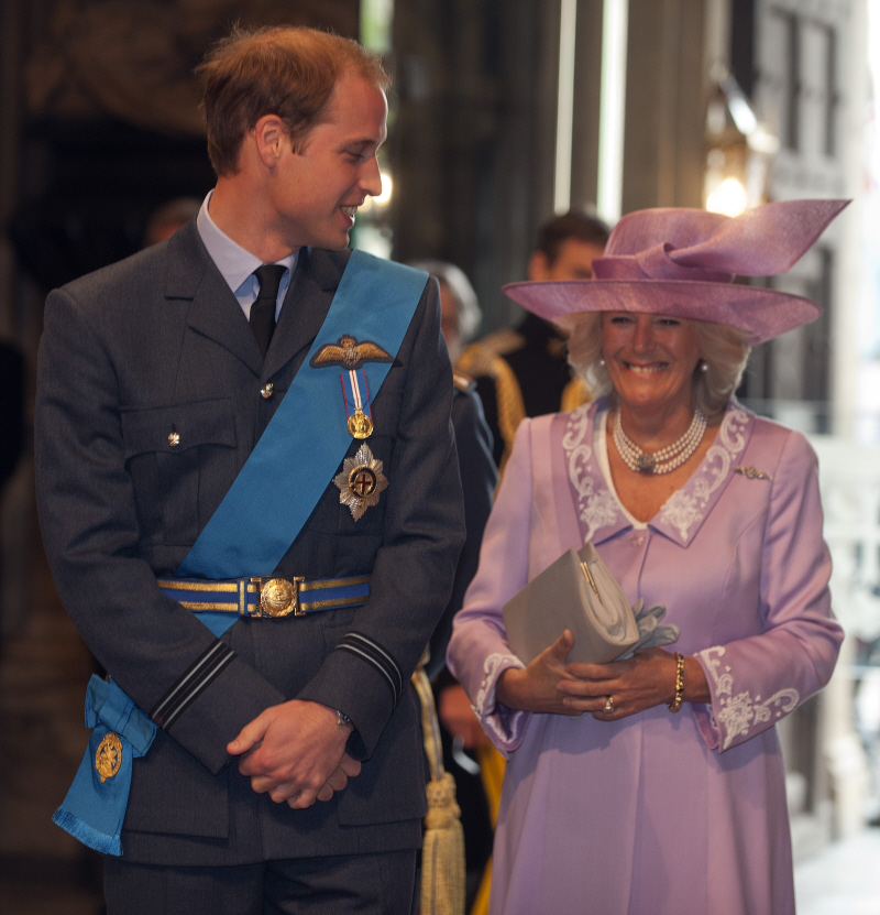 prince william bald spot prince william. William would