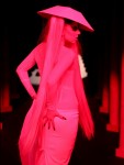 fp_6902591_ang_ladygaga_muglershow_05_21