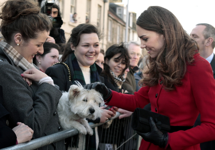 prince william david beckham kate middleton sisterhood. Kate Middleton#39;s dress is done