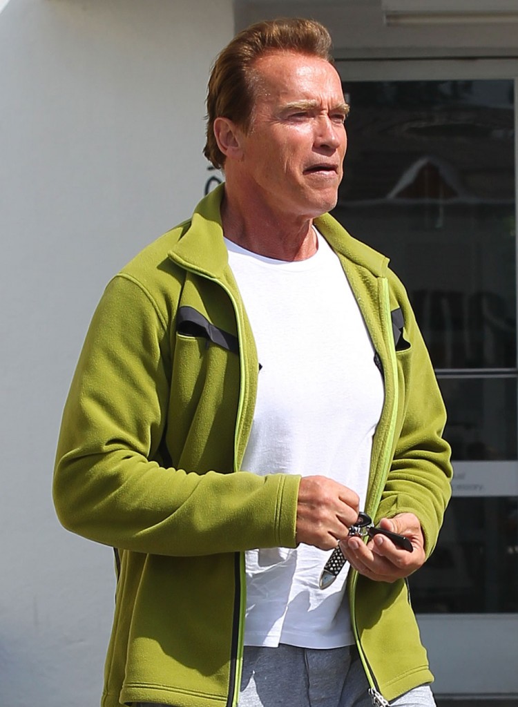 fp_7308978_schwarzenegger_a