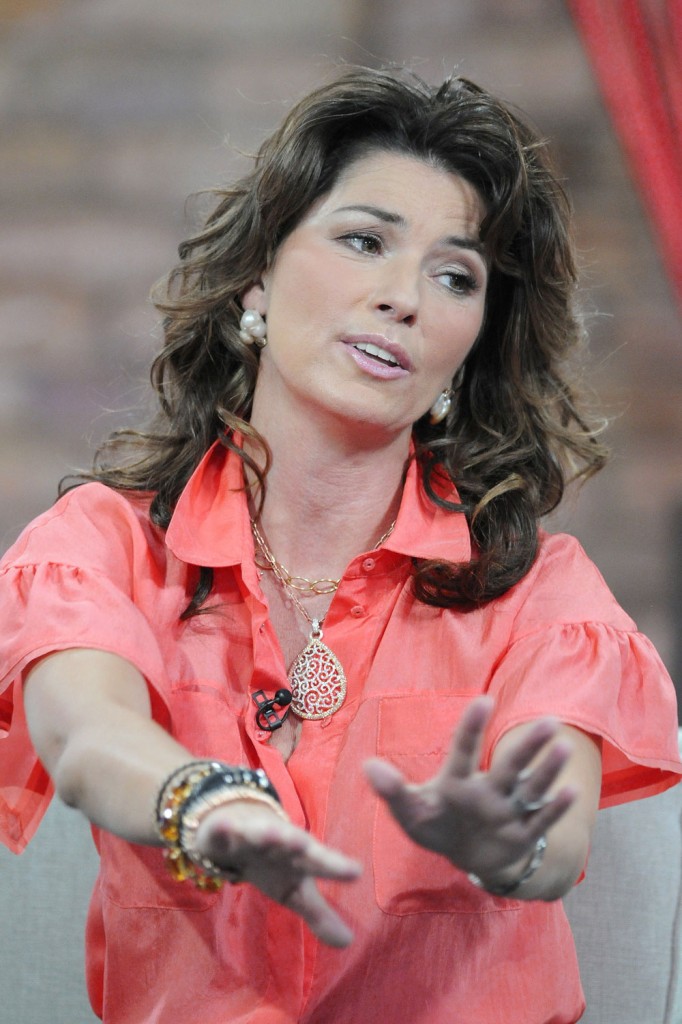 Shania Twain'S Other Woman