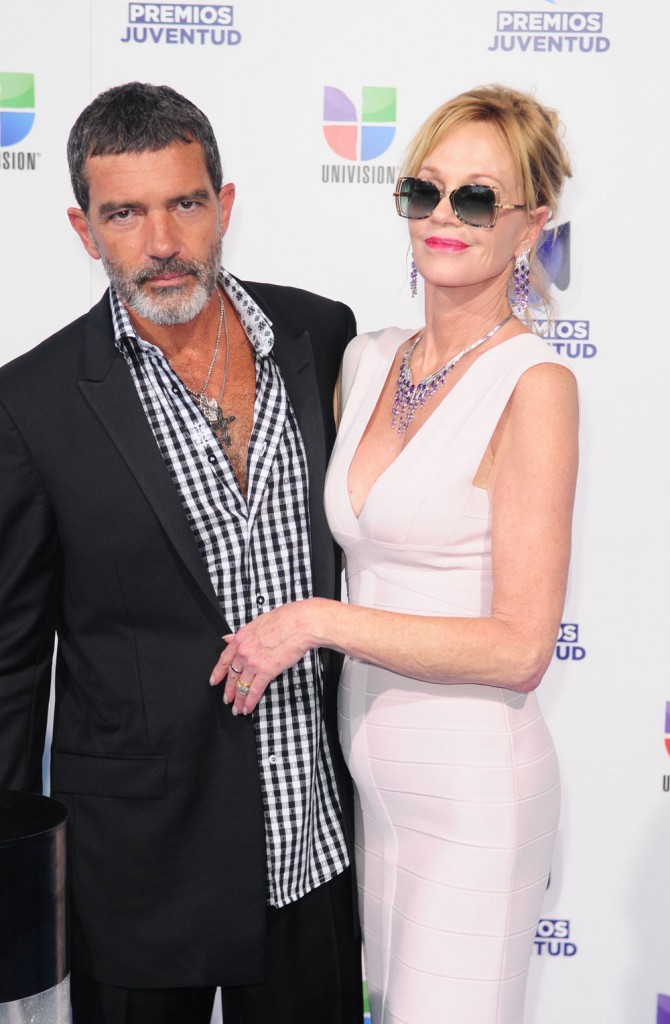 wenn3446053 wenn3446053