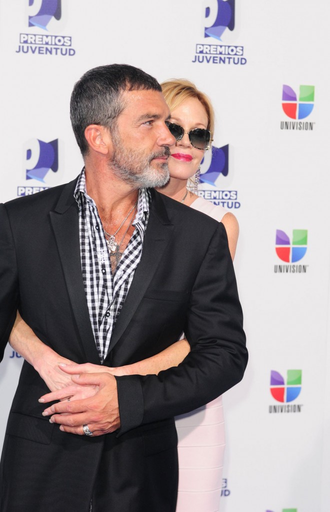 wenn3446060 wenn3446060