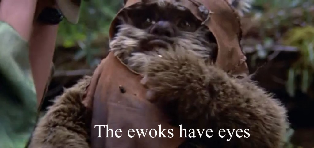 ewokeyes