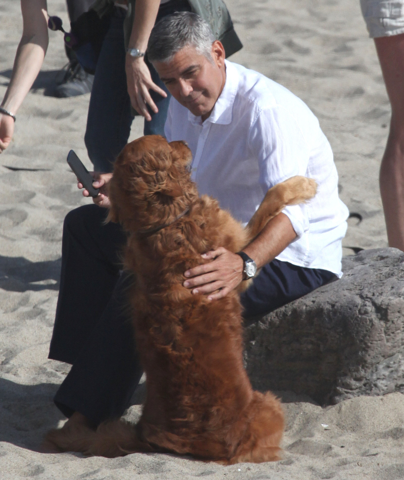 FFN_Clooney_George_MiguelFF_051512_9087666