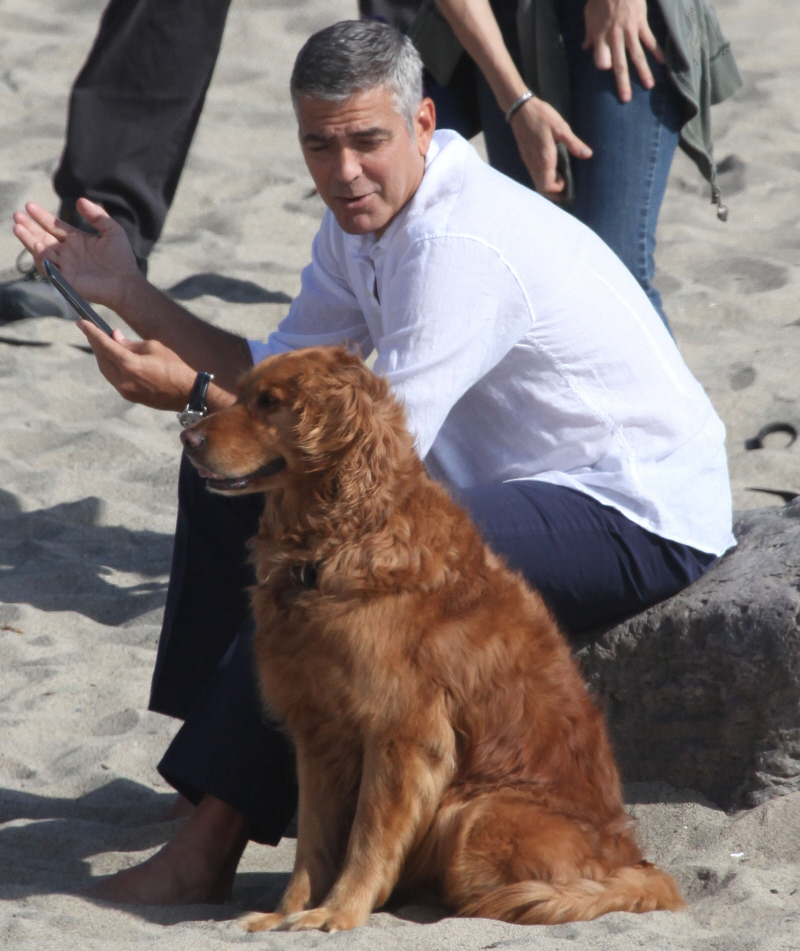 FFN_Clooney_George_MiguelFF_051512_9087669