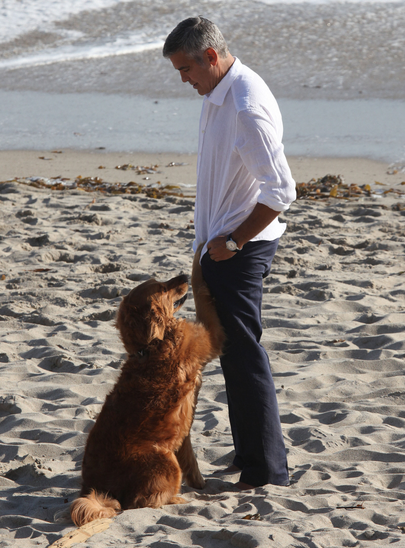 FFN_Clooney_George_MiguelFF_051512_9087686