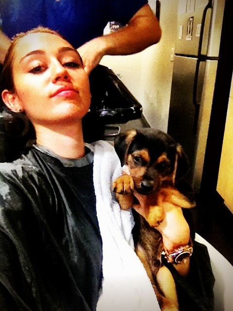 http://www.celebitchy.com/wp-content/uploads/2012/05/miley-3.jpg