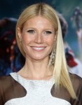 FFN_RIJ_IRON_MAN3_042413_51078051