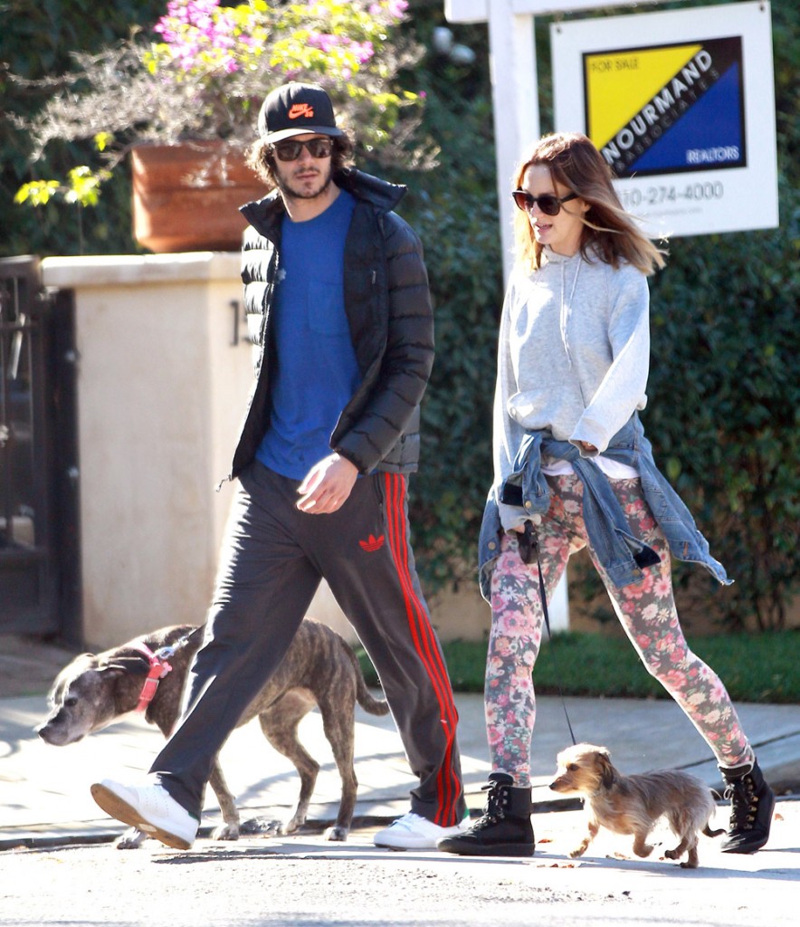 Exclusive... Adam Brody & Leighton Meester Take Their Dogs Out For A Morning Walk