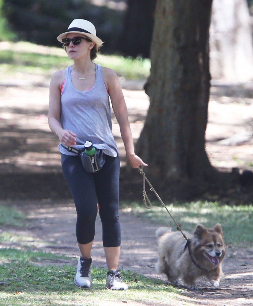 Kristen Bell Takes Her Dog To The Park