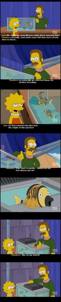 nedflanders2