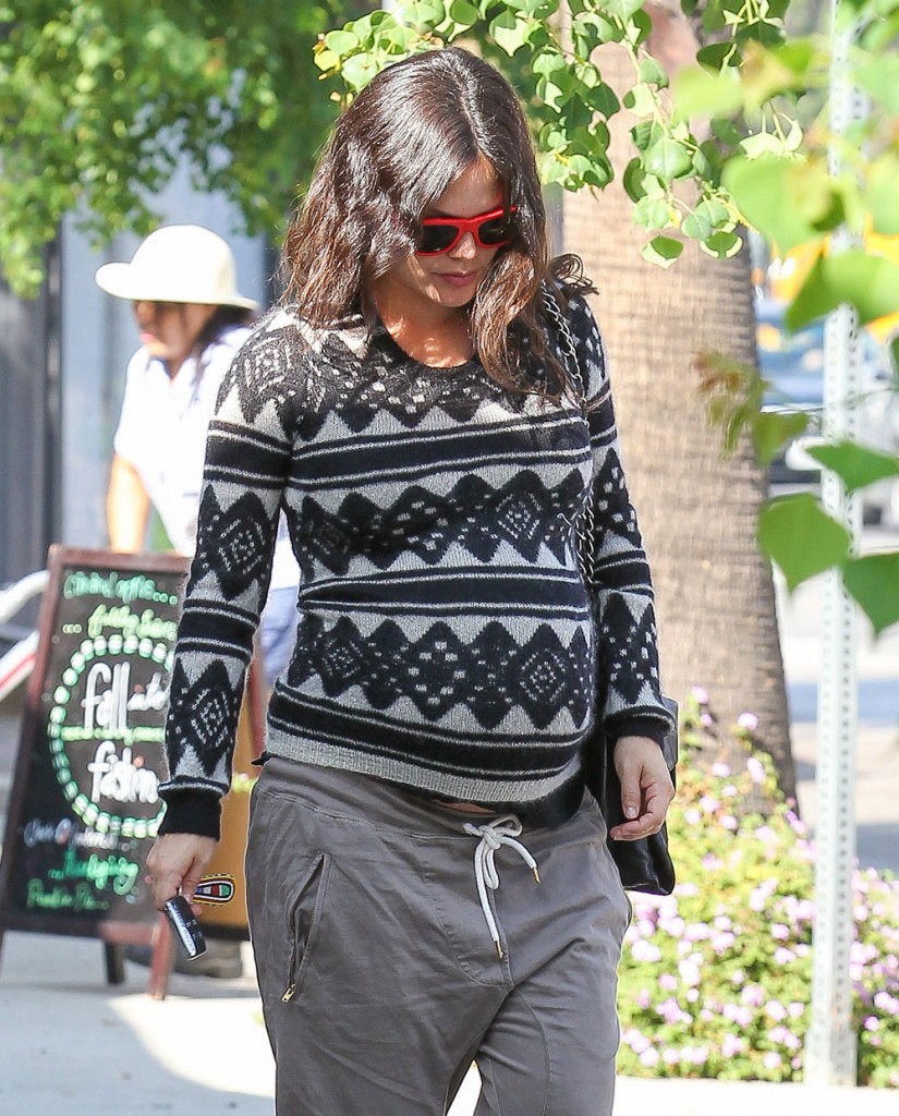 Rachel Bilson Shops At Bed Bath & Beyond