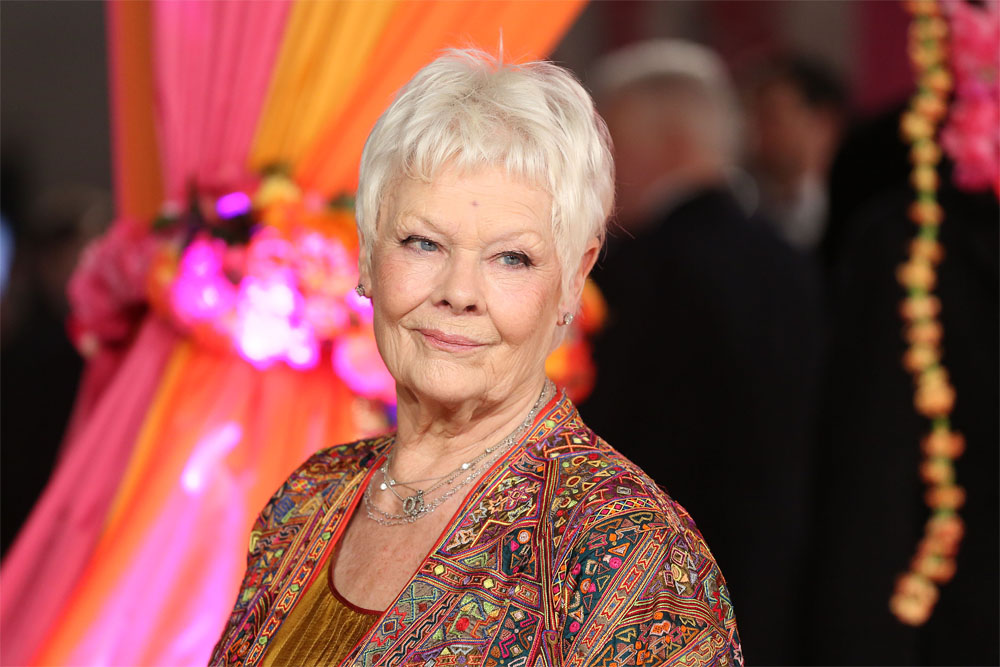 'The Second Best Exotic Marigold Hotel' Premiere