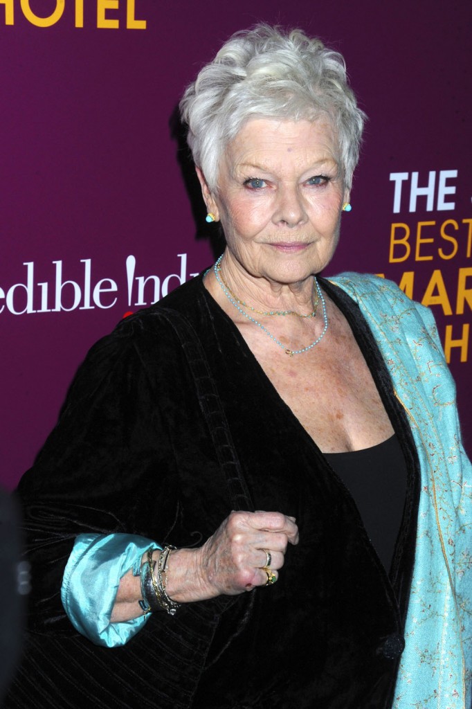 'The Second Best Exotic Marigold Hotel' New York Premiere