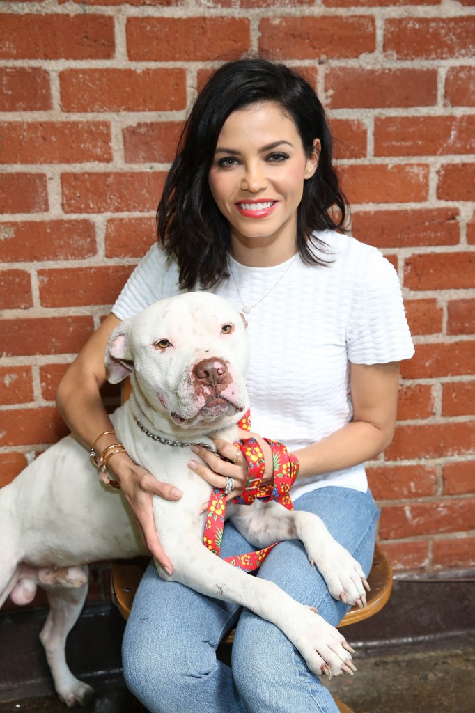 Shutterfly Launches Pet Accessories Collection With Jenna Dewan-Tatum & Hope For Paws At The Veterinary Care Center In Los Angeles