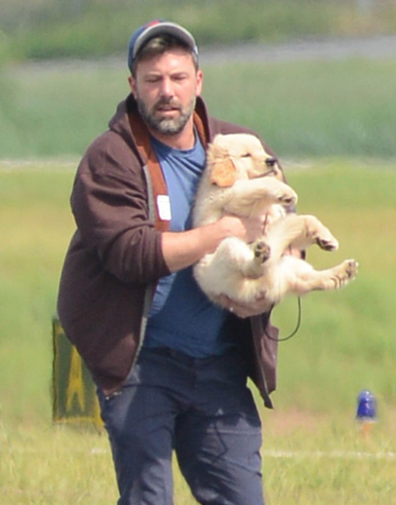 Ben Affleck Arrives In Atlanta With A New Puppy!