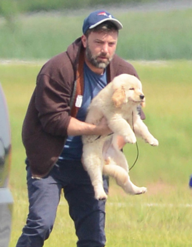 Ben Affleck Arrives In Atlanta With A New Puppy!