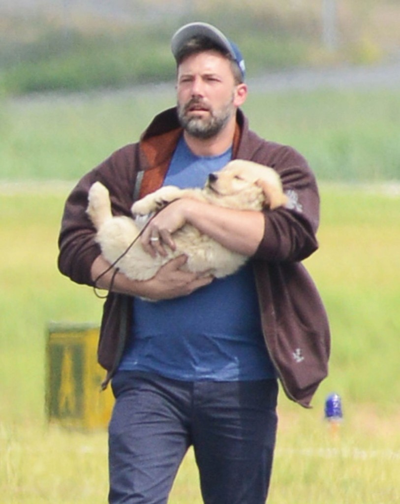 Ben Affleck Arrives In Atlanta With A New Puppy!