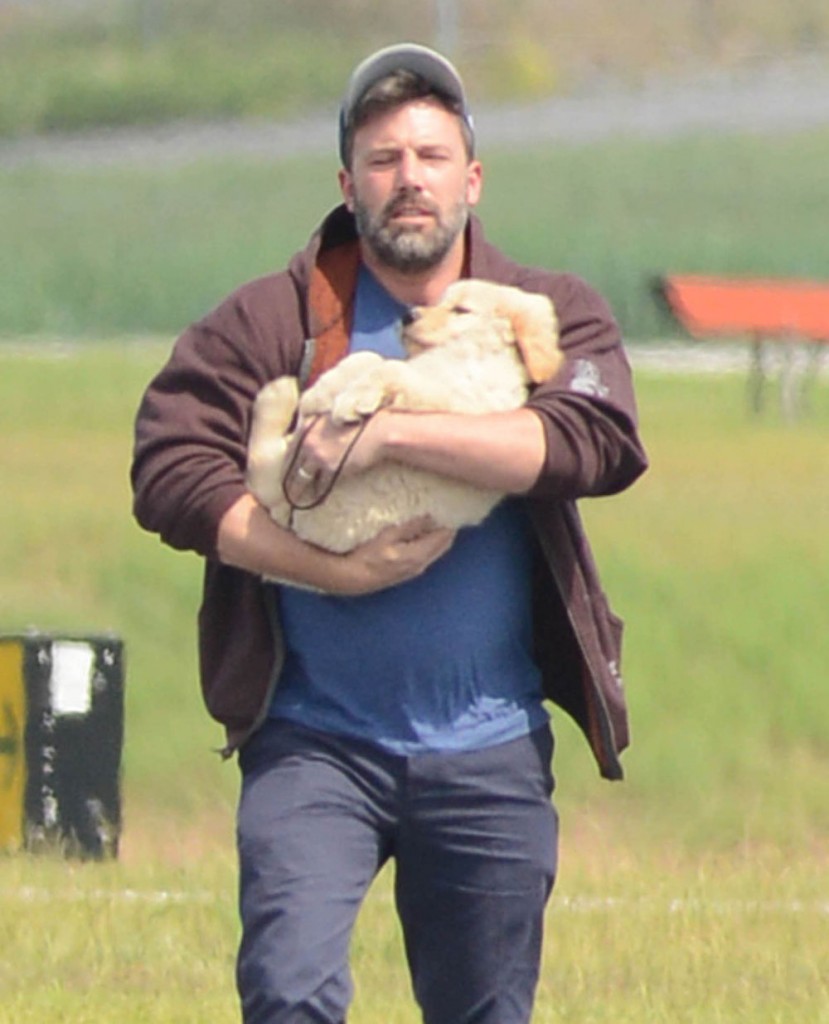 Ben Affleck Arrives In Atlanta With A New Puppy!