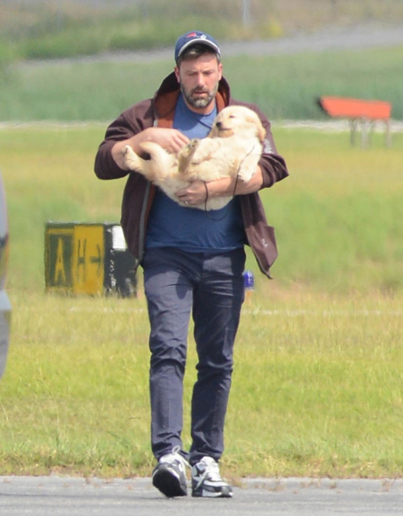 Ben Affleck Arrives In Atlanta With A New Puppy!