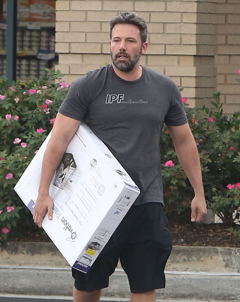 Ben Affleck Stops By The Pet Store With His Daughter