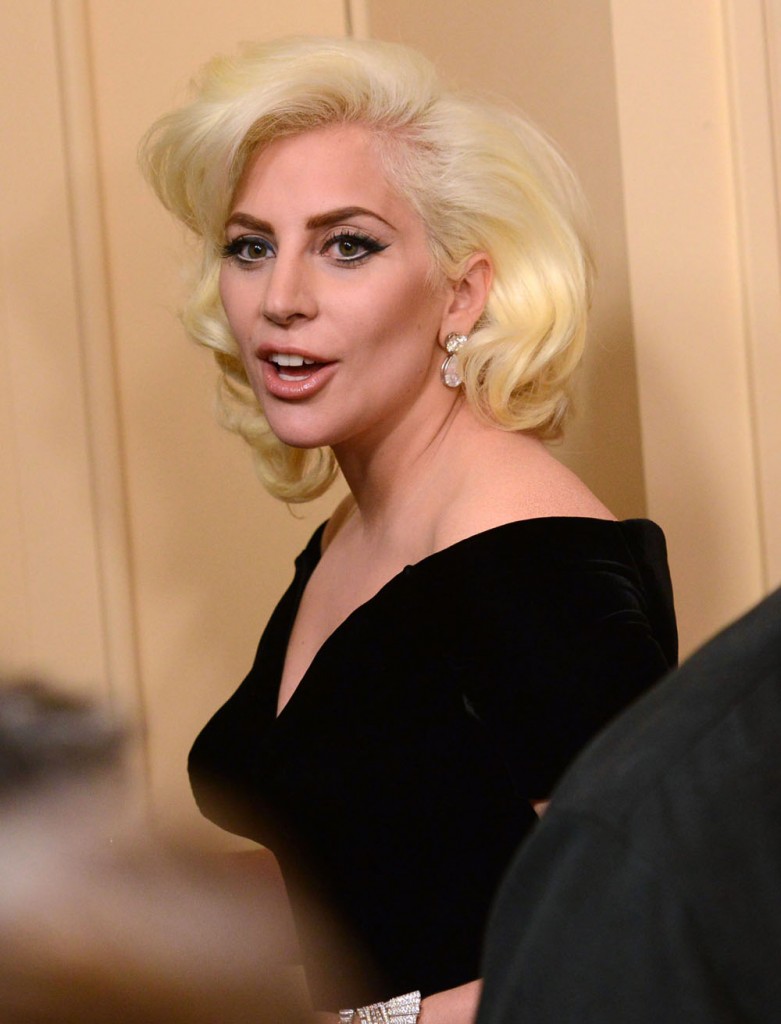 73rd Annual Golden Globe Awards - Press Room