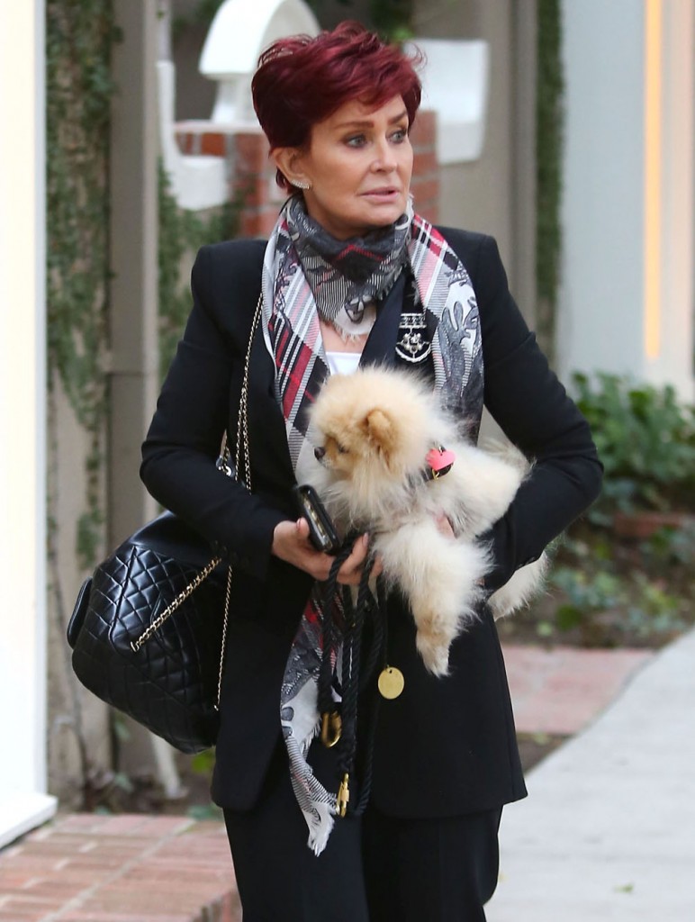 Exclusive... Sharon Osbourne Out Shopping In West Hollywood
