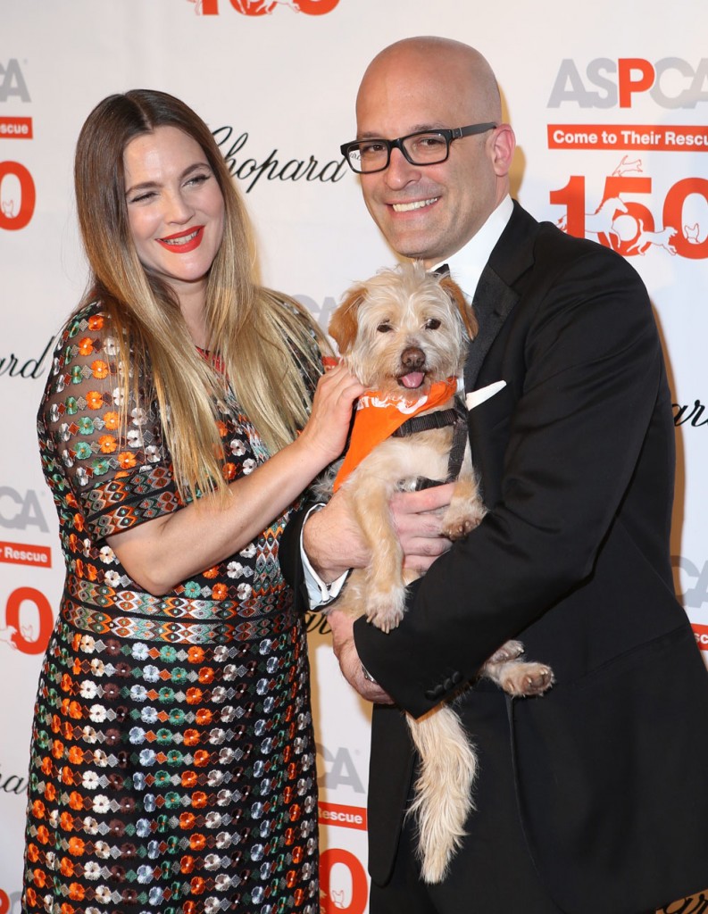 ASPCA 19th Annual Bergh Ball honoring Drew Barrymore