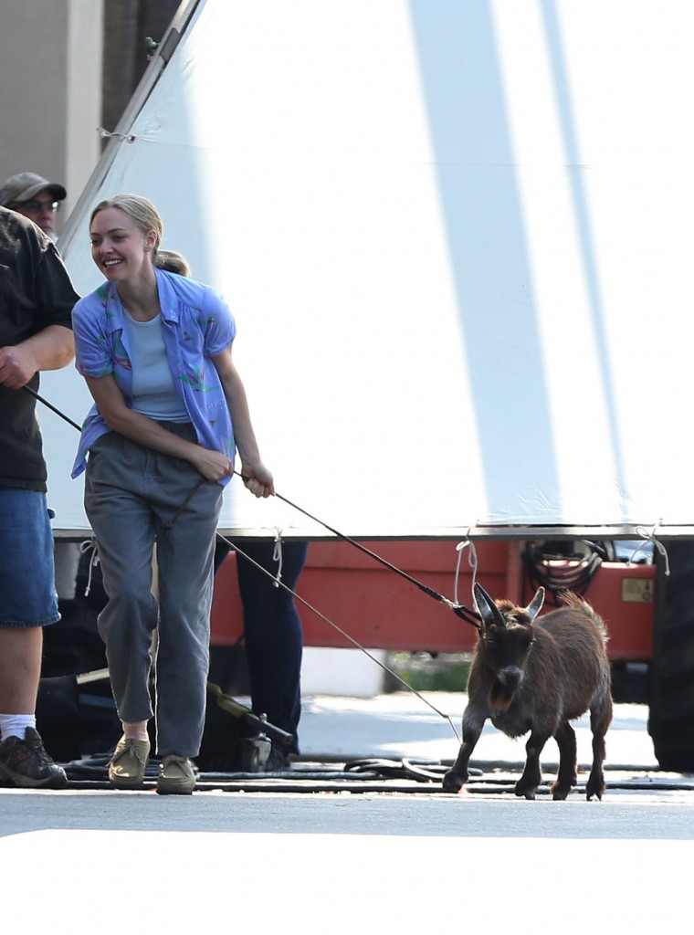 Amanda Seyfried struggles to take a goat for a walk on a leash on the set of The Clapper