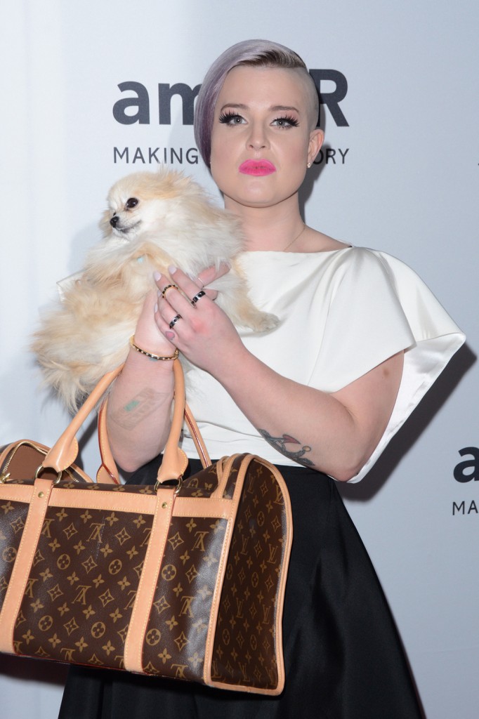 7th Annual amfAR Inspiration Gala New York