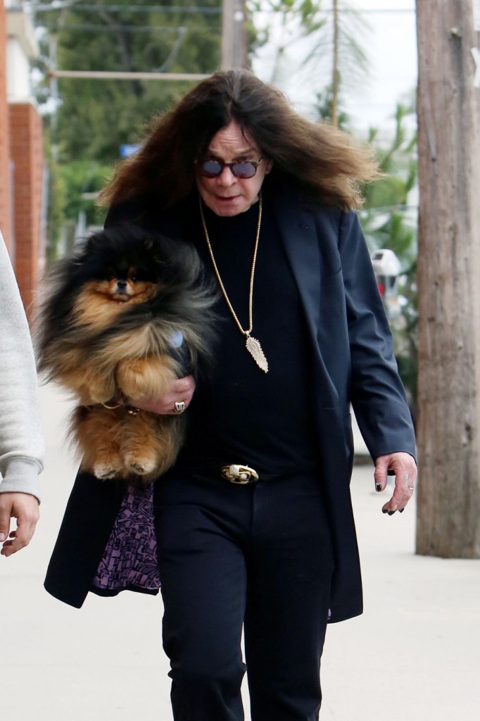 Ozzy Osbourne hides beneath his hair as he steps out with one of his many dogs in LA amid reports that he and wife Sharon are splitting up after 33 years of marriage