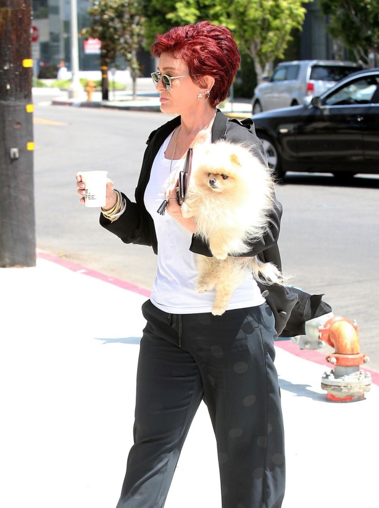 Sharon Osbourne Grabs Coffee In WeHo