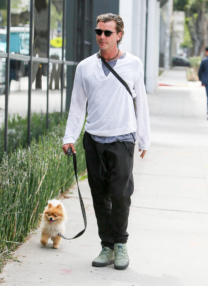 Gavin Rossdale Sighted in Los Angeles on May 18, 2016