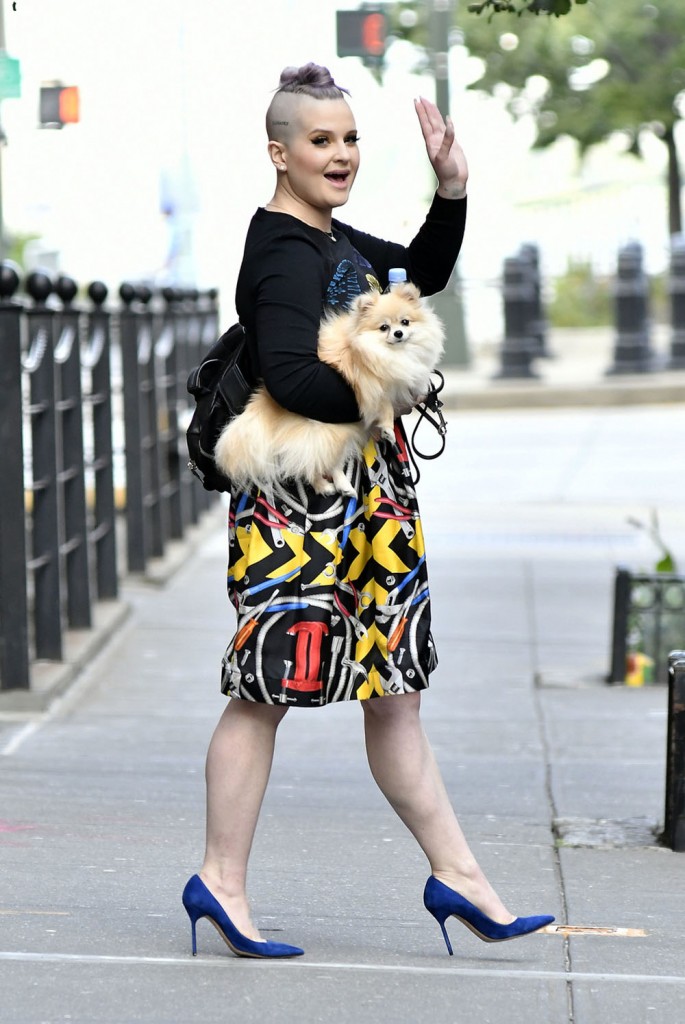 Kelly Osbourne carries her dog on the way out of her apartment rocking a colorful print skirt and lavendar mohawk buns in NYC