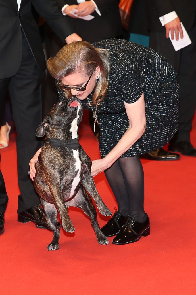 Premiere for the movie "Mademoiselle" during the 69th Cannes International Film Festival