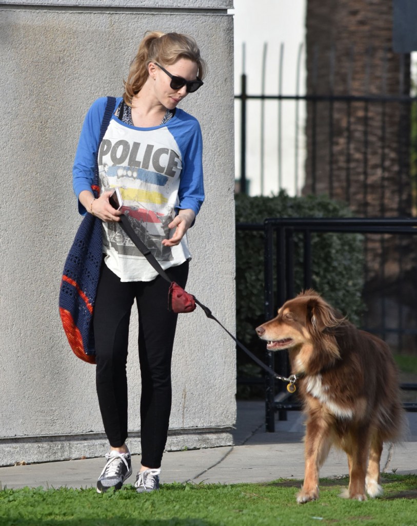 Pregnant Amanda Seyfried Walking Her Dog In West Hollywood