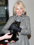 Camilla, Duchess Of Cornwall during a visit to Battersea Dogs and Cats Home