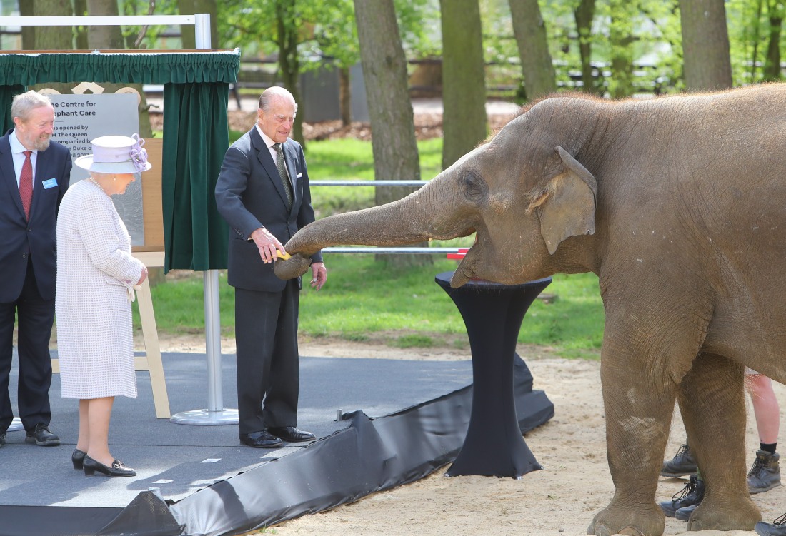 Queen Elizabeth II and Prince Philip, Duke of Edinburgh visit the new elephant centre at ZSL Whipsnade Zoo