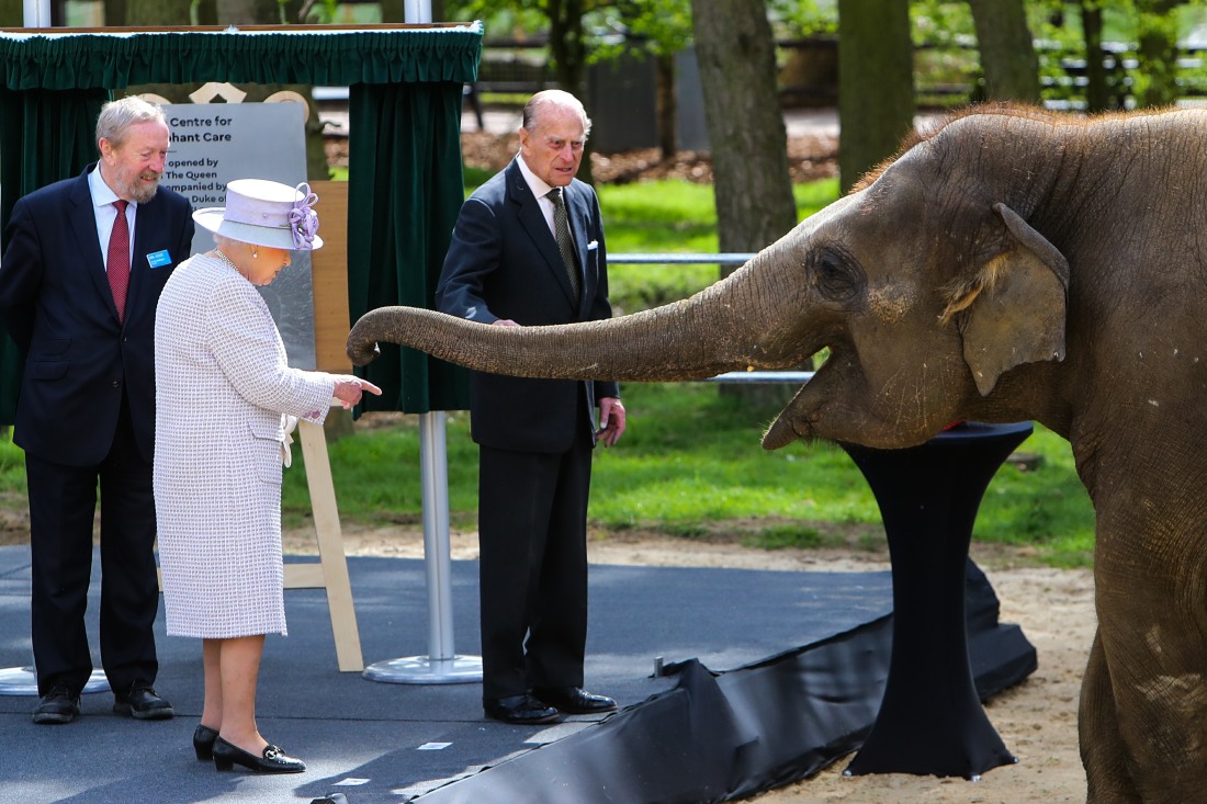 Queen Whipsnade elephants