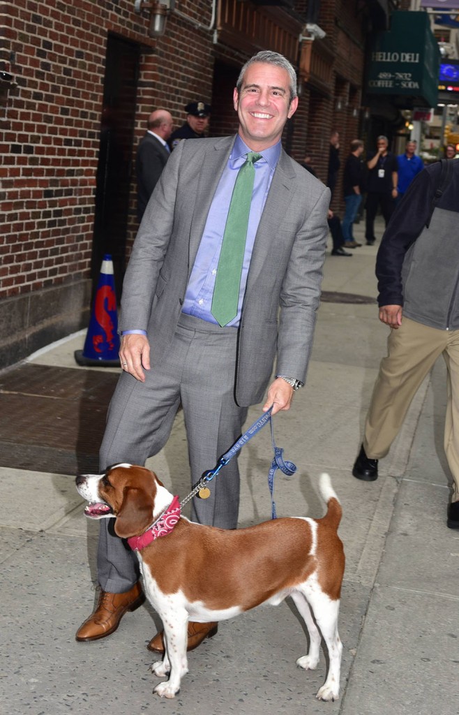 Celebrities at the 'The Late Show with Stephen Colbert'