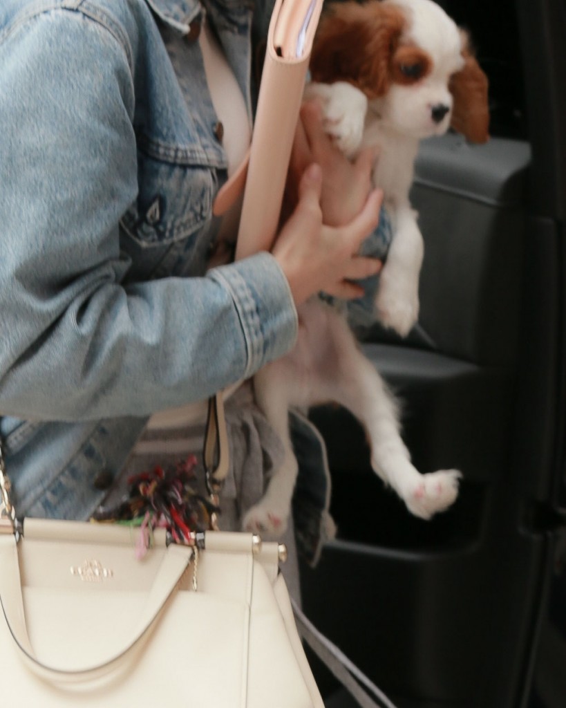 Selena Gomez arrives to her hotel with a cute puppy