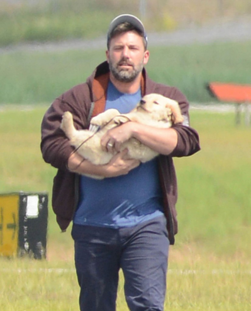 Ben Affleck Arrives In Atlanta With A New Puppy!