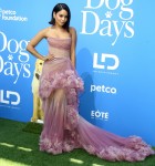 Dog Days World Premiere